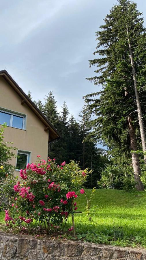 Apartmaji Velikonja Ajdovščina Exterior foto